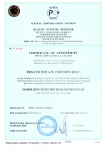 Сертификат ИСО 9000 на английском языке